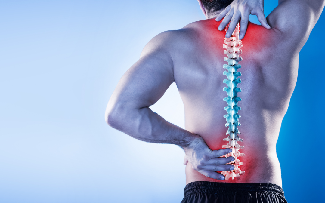Understanding back and neck pain
